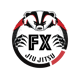 f(x) jiu jitsu logo